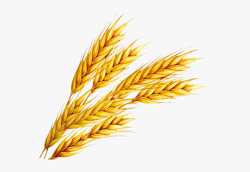 wheats.png